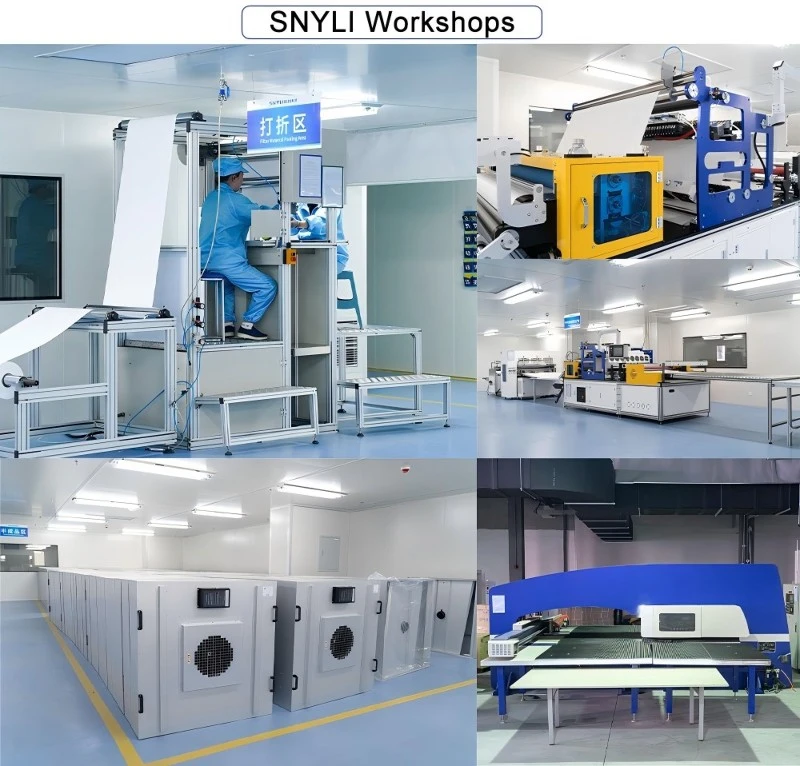 SNYLI workshops SNYLI workshops
